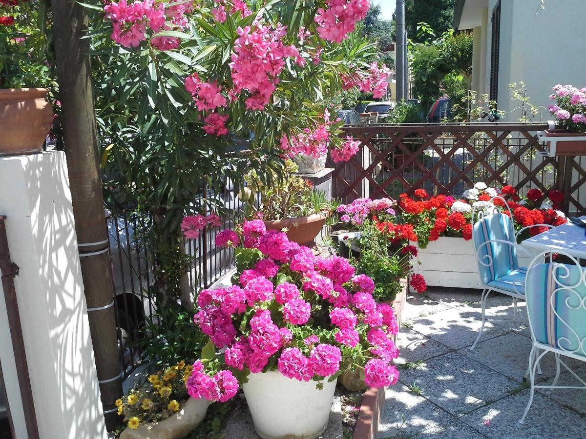 Villa Luana Cervia Exteriör bild